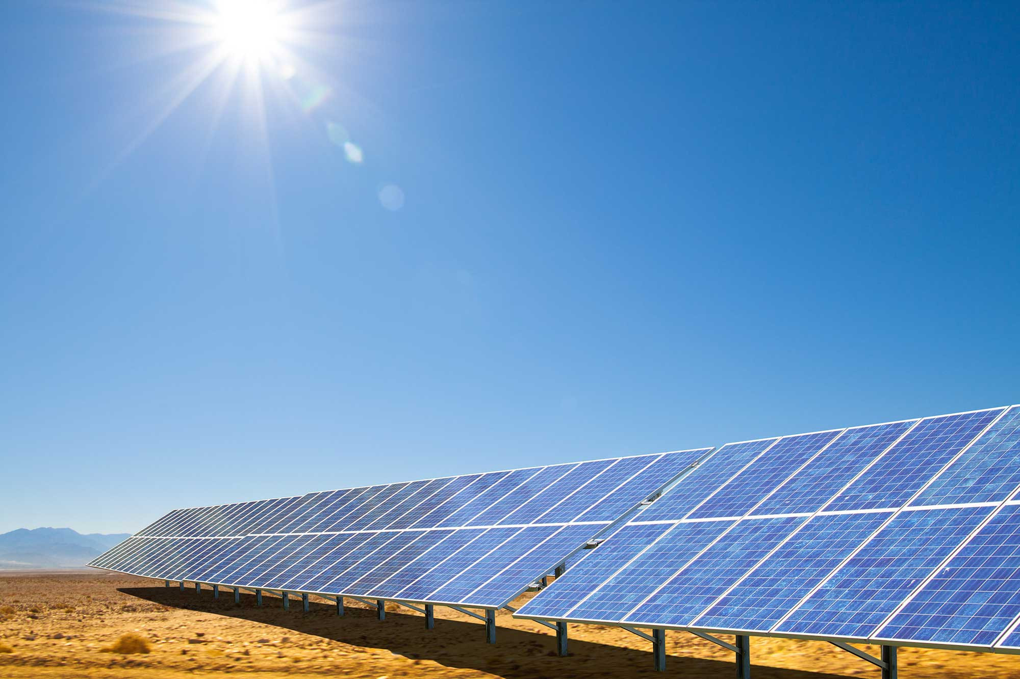 Strategic Solar Energy Partnership Between Solarcentury Africa and Shumba Energy